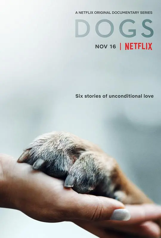 《爱犬情深 第一季》:末日废土,人与忠犬的生存羁绊