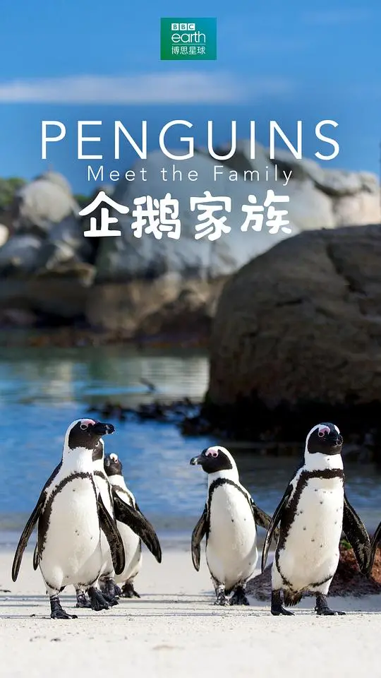 《企鹅家族(英)》:温馨亲子动画,萌化你的童年记忆