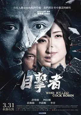 《目击者之追凶》:悬疑迷局下的真相拷问,震撼人心!