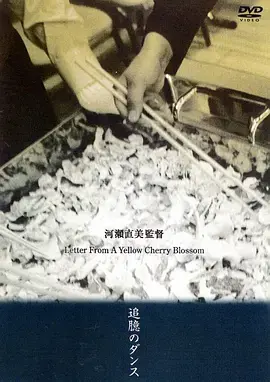 黄樱花的来信:跨越时空的浪漫回忆