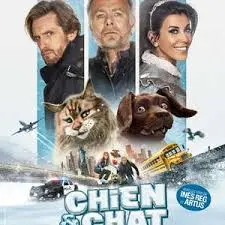 爆笑来袭!《猫狗大乱斗》:喵星人和汪星人的终极PK,萌翻你的少女心!