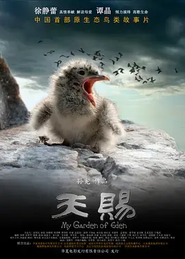 《天赐》:天赋异禀还是诅咒?一部关于超能力与人性的深刻探讨