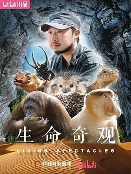 《生命奇观》：一场震撼心灵的自然史诗，探索生命的无限可能与脆弱